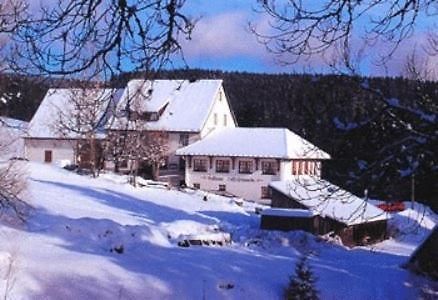 Pension Loeffelschmiede Lenzkirch Exteriér fotografie
